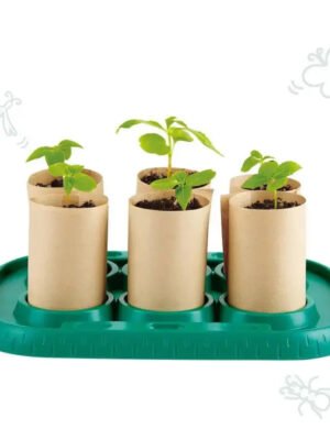 Hape-Growing-Gardeners-Greenhouse-Hape-Toy-Market-44351887.jpg