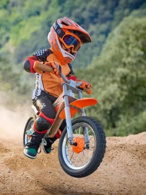 Hape-Off-Road-Balance-Bike-Hape-Toy-Market-44380113.jpg